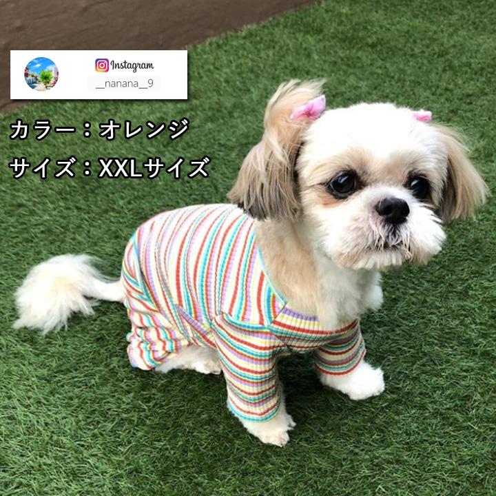 はっぴーDOG 犬服 犬 服 秋冬 秋 冬 犬の服 おしゃれ トイプードル