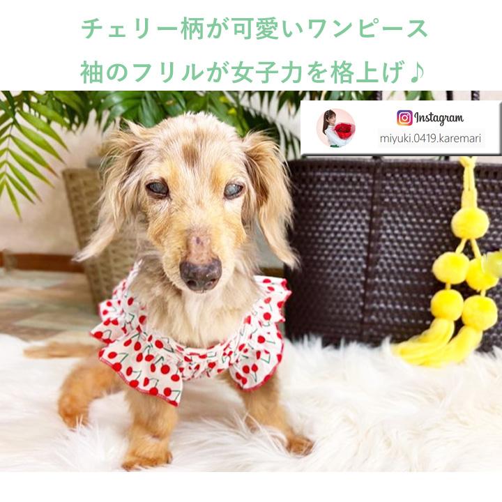 folkmade 犬柄ワンピースレディースフリーサイズ
