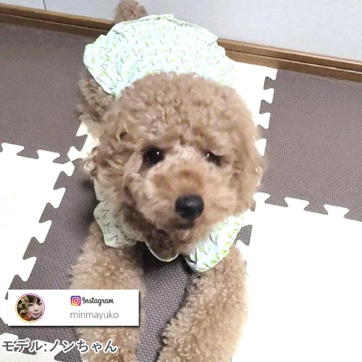 はっぴーDOG トイプードル 服 犬 カットソー ワンピース かわいい