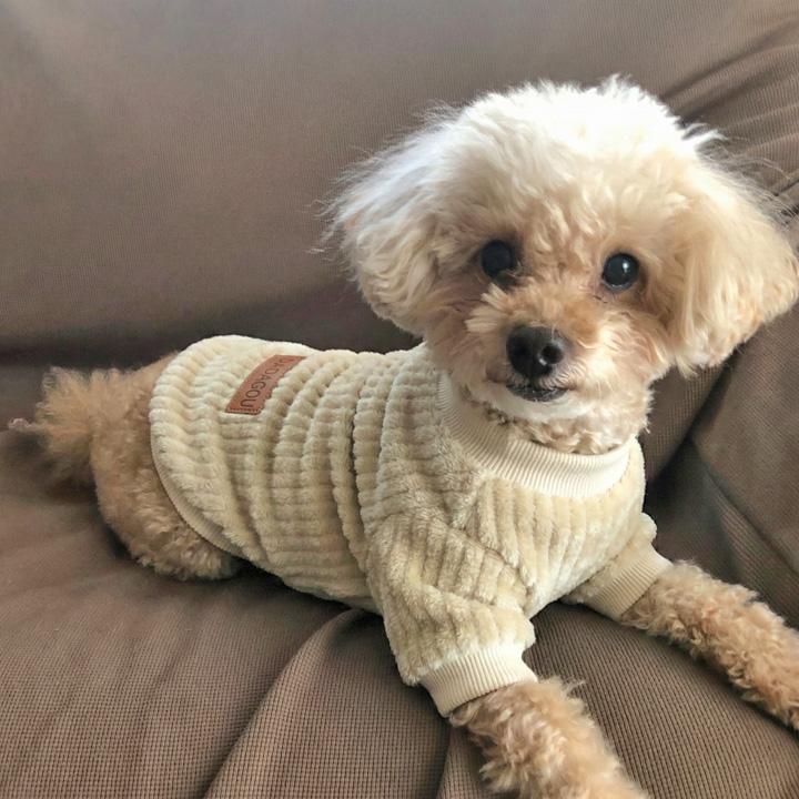 はっぴーDOG 犬 服 犬服 犬の服 【はっぴーDOG】 フリース モコモコ