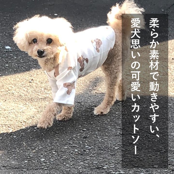 はっぴーDOG 犬 服 秋冬 秋 冬 夏 犬服 犬の服 おしゃれ Tシャツ