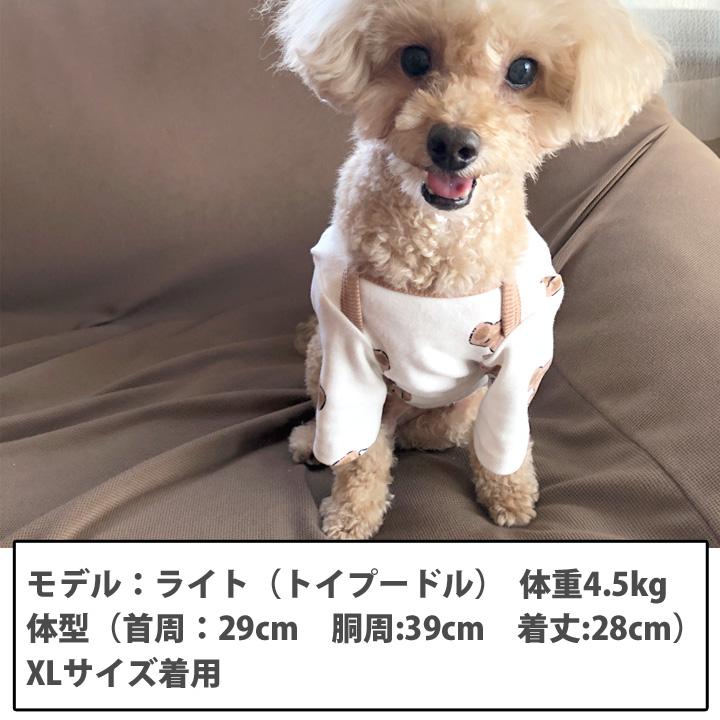はっぴーDOG 犬 服 秋冬 秋 冬 夏 犬服 犬の服 おしゃれ Tシャツ