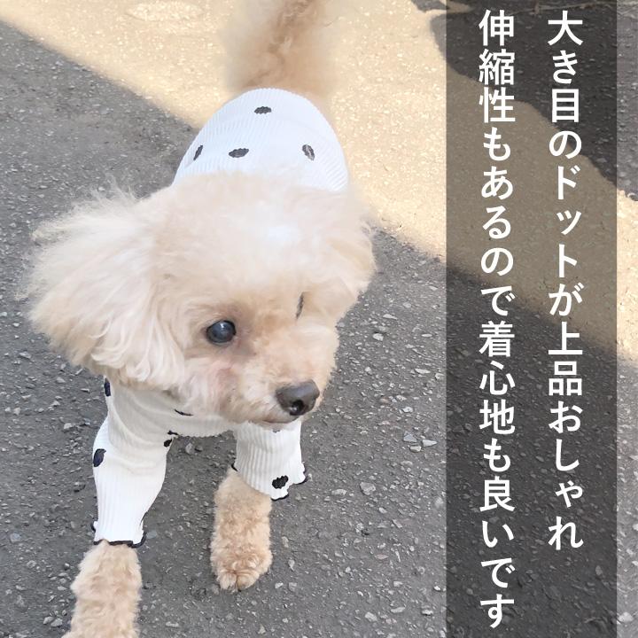 はっぴーDOG 大きめドット のハイネックニットソー 犬 服 犬の服