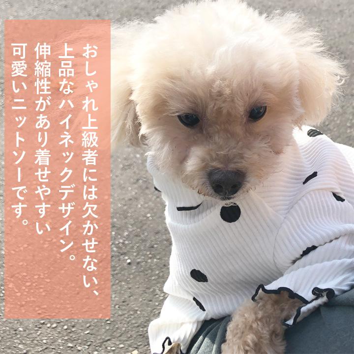 はっぴーDOG 大きめドット のハイネックニットソー 犬 服 犬の服