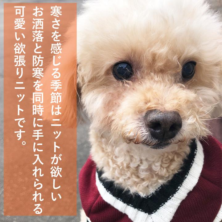 はっぴーDOG 犬 服 秋冬 秋 冬 夏 犬服 いぬ 犬の服 ニット セーター