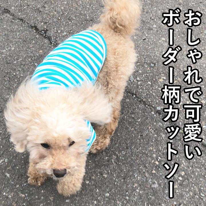 はっぴーDOG 犬 服 秋冬 秋 冬 夏 犬服 いぬ 犬の服 Tシャツ