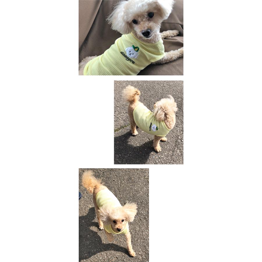 【即購入可能です。】犬服タンクトップ 犬服 夏 メッシュ タンクトップ FULL COOL 無地 小型犬 冷感