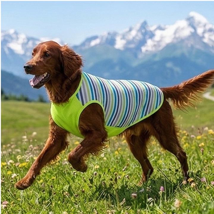 はっぴーDOG 犬 服 犬服 犬の服 大型犬 タンクトップ ボーダー 袖なし