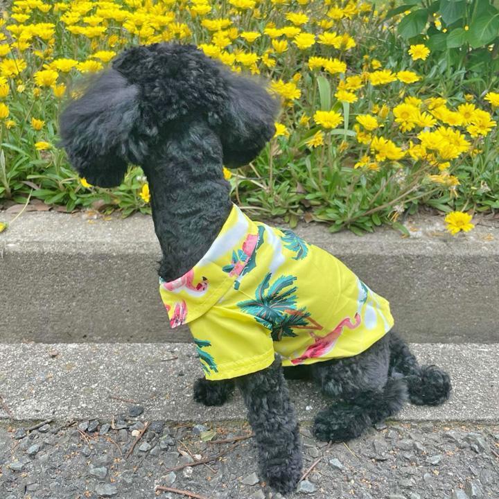 犬 服 犬服 いぬ 犬の服 アロハシャツ アロハ シャツ 前ボタン スナップボタン フルーツ柄 花柄 袖あり 半袖｜k-city｜03