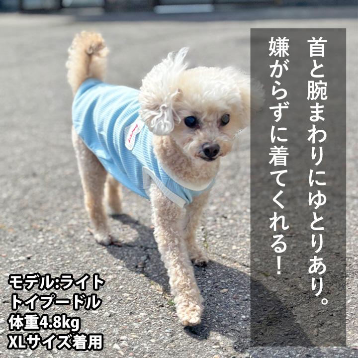 はっぴーDOG 犬 服 犬服 いぬ 犬の服 着せやすい タンクトップ Dカン