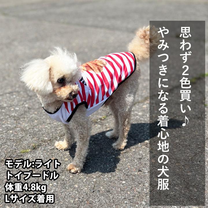 はっぴーDOG 犬 服 夏 メッシュ タンクトップ ボーダー くま クマ柄