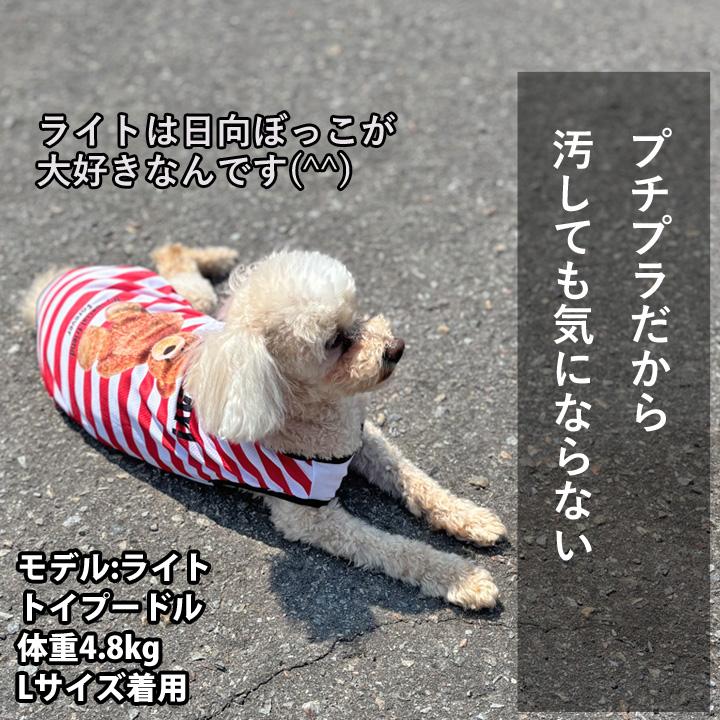 はっぴーDOG 犬 服 夏 メッシュ タンクトップ ボーダー くま クマ柄