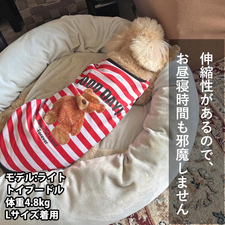 はっぴーDOG 犬 服 夏 メッシュ タンクトップ ボーダー くま クマ柄