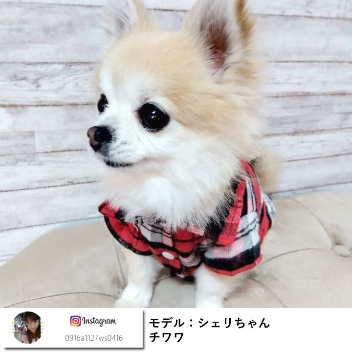 はっぴーDOG チワワ 服 犬 犬服 犬の服 いぬ 袖あり 長袖 半袖 はっぴーDOG チワワ 服 犬 犬服 犬の服 いぬ 袖あり 長袖 半袖