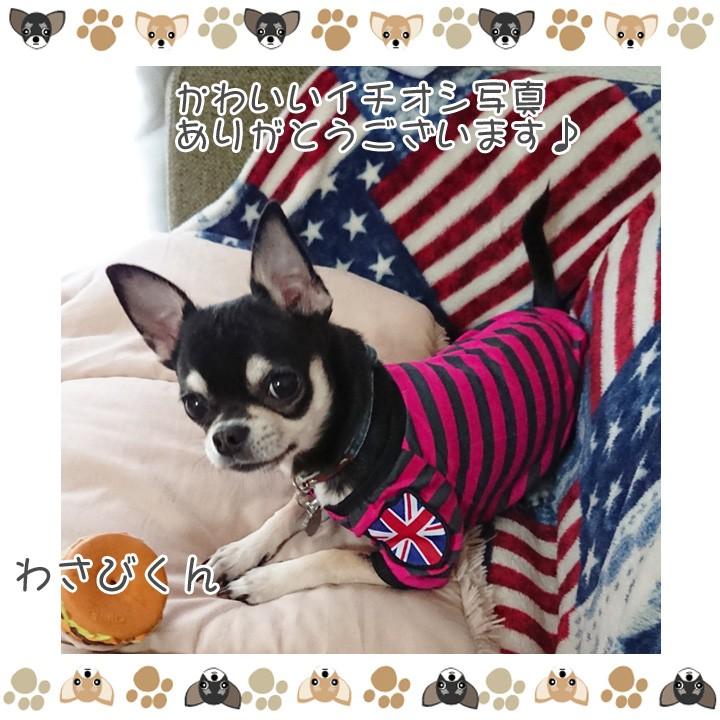 はっぴーDOG 犬 服 秋冬 秋 冬 夏 犬服 犬の服 おしゃれ トイプードル