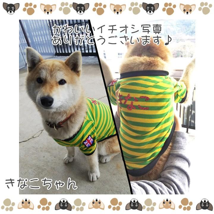 はっぴーDOG 犬 服 秋冬 秋 冬 夏 犬服 犬の服 おしゃれ トイプードル