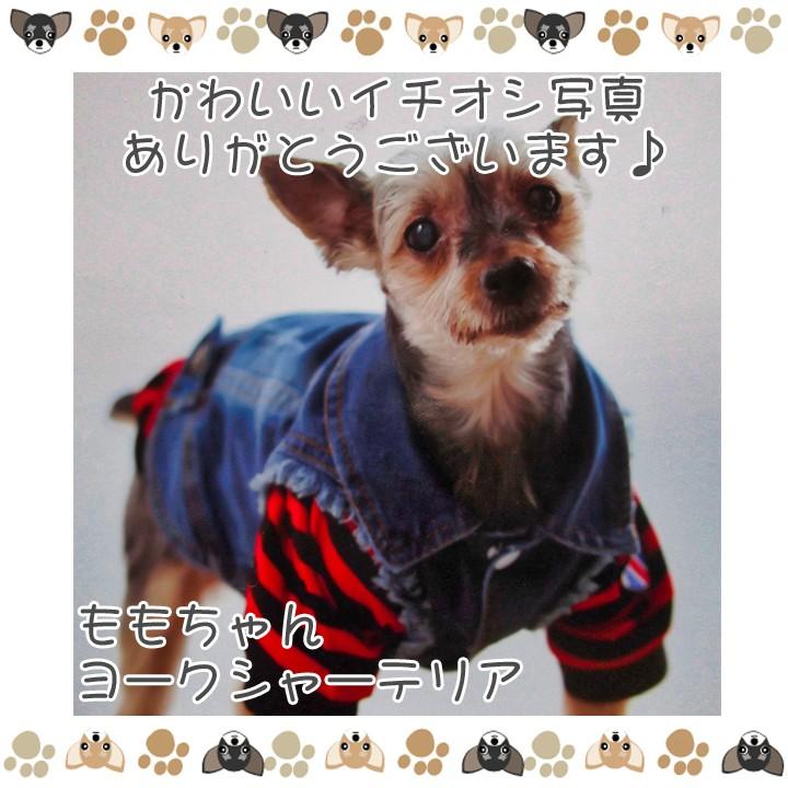 ‪☆ワンちゃん ダウン Tシャツまとめ売り‪☆ はっぴーDOG 犬 服 秋冬 秋 冬 夏 犬服 犬の服 おしゃれ トイプードル