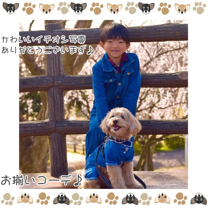 はっぴーDOG 犬服 犬 服 秋冬 秋 冬 犬の服 おしゃれ トイプードル