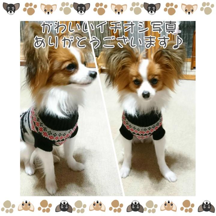 はっぴーDOG 犬服 トイプードル 犬 服 秋冬 秋 冬 犬の服 チワワ