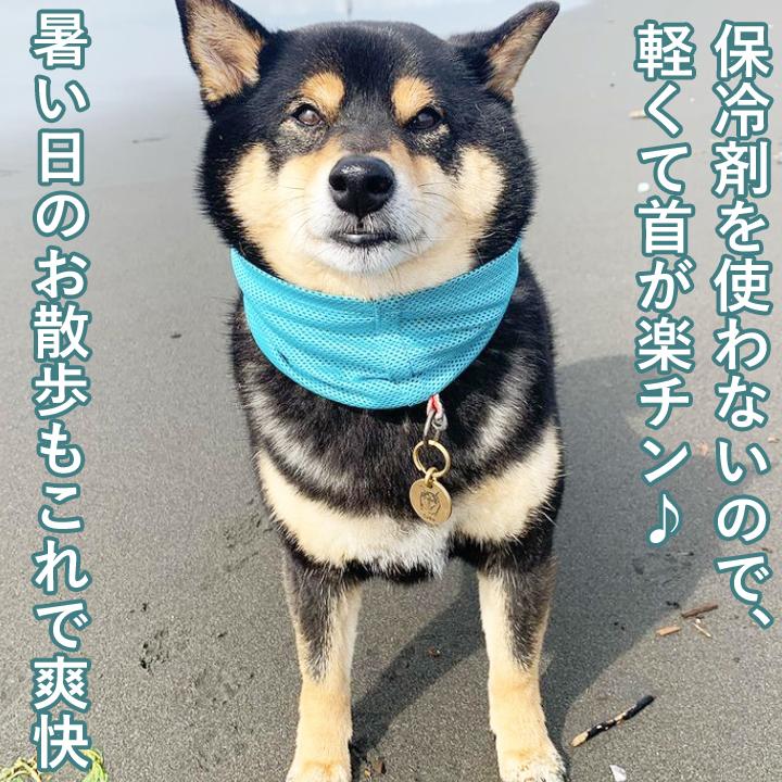 クールネック 犬 服 夏 ネッククーラー 犬用 犬服 おしゃれ :md88091:かわいい犬服屋さん はっぴーDOG 通販 ハンドメイド クールネック ネッククーラー 犬 お散歩 3枚セット