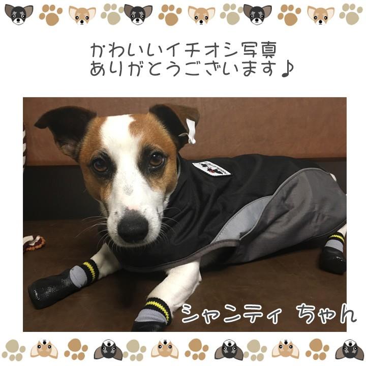 犬 靴下 靴 ラバー ブーツ 千鳥柄 防水 服 犬服 トイプードル チワワ ドッグウェア 送料無料 Md はっぴーdog本店 通販 Yahoo ショッピング
