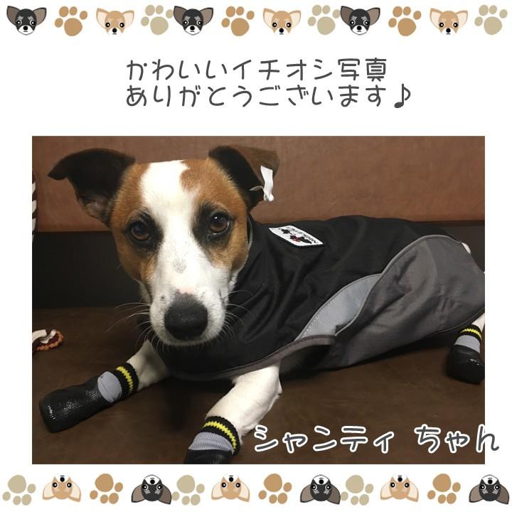 犬 服 秋冬 秋 冬 夏 犬 靴下 靴 ラバー ブーツ 千鳥柄 防水 服 犬服 トイプードル チワワ ドッグウェア｜k-city｜07