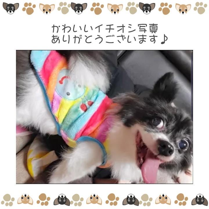 はっぴーDOG 犬服 トイプードル 犬 服 秋冬 秋 冬 犬の服 チワワ