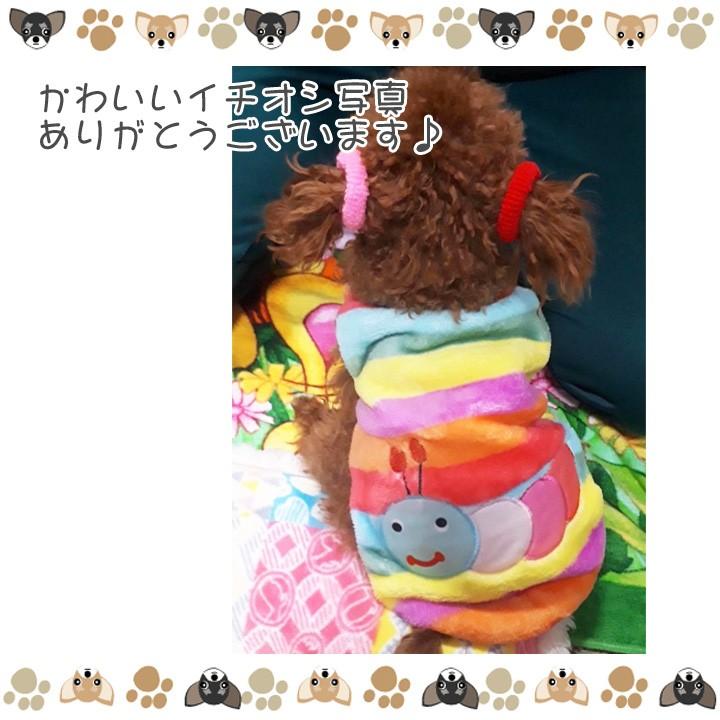 はっぴーDOG 犬服 トイプードル 犬 服 秋冬 秋 冬 犬の服 チワワ