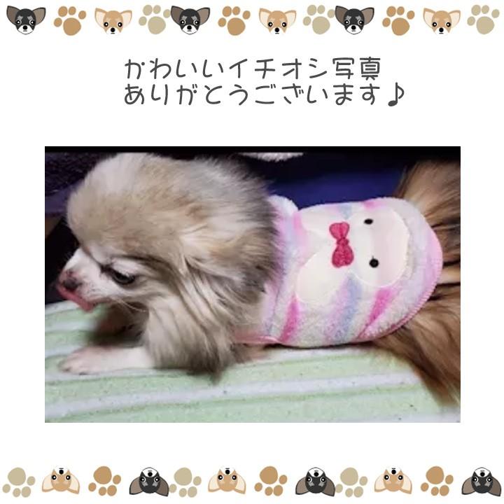 はっぴーDOG 犬服 トイプードル 犬 服 秋冬 秋 冬 犬の服 チワワ