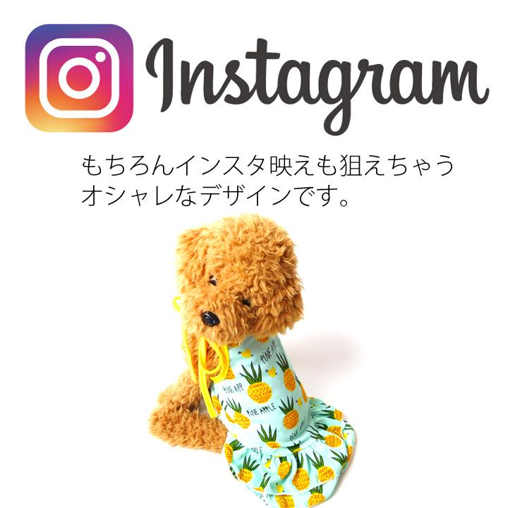 はっぴーDOG 犬 服 夏 春 春夏 犬服 犬の服 おしゃれ トイ