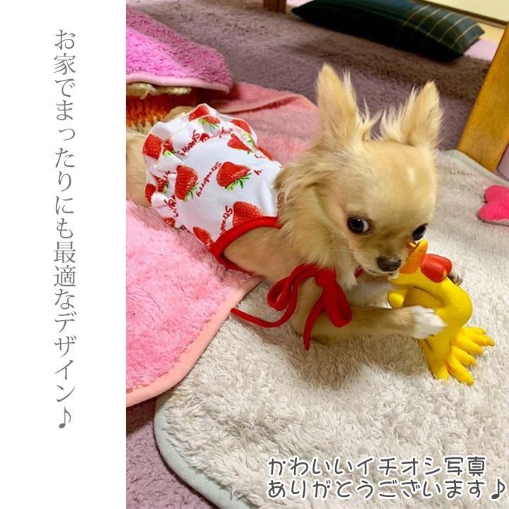 はっぴーDOG 犬 服 夏服 メッシュ タンクトップ キャミソール 犬服 犬