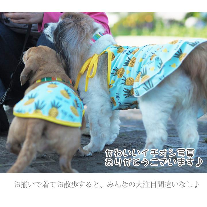 はっぴーDOG 犬 服 夏服 メッシュ タンクトップ キャミソール 犬服 犬