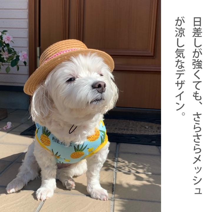 犬用花柄ネイビー服 GG-694-23 チワワ チワワ服 犬服[品番：NX000006044]｜K-city（ケイシティ