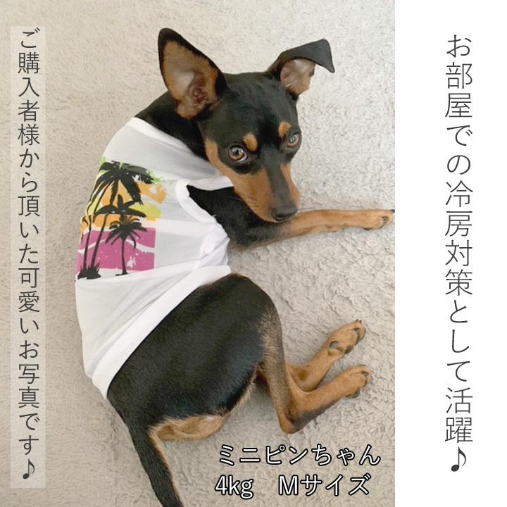 はっぴーDOG 犬 服 夏 犬服 犬の服 おしゃれ トイプードル チワワ
