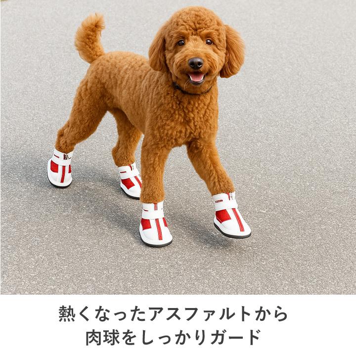 はっぴーDOG 犬 服 秋冬 秋 冬 夏 犬靴 靴下 ソックス スニーカー 肉球
