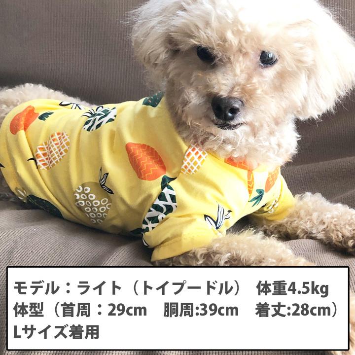 はっぴーDOG 犬 服 夏 犬服 カットソー Tシャツ フルーツ柄 袖あり