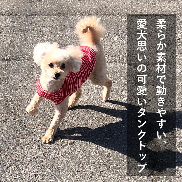 はっぴーDOG 犬 服 秋冬 秋 冬 夏 1000円ポッキリ 犬服 犬の服