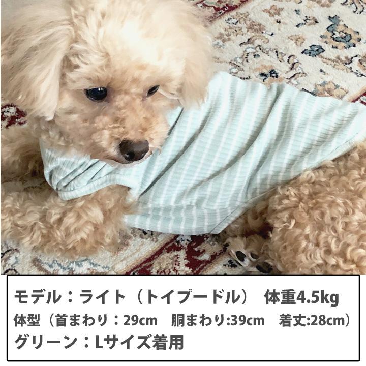 はっぴーDOG 犬 服 秋冬 秋 冬 夏 1000円ポッキリ 犬服 犬の服