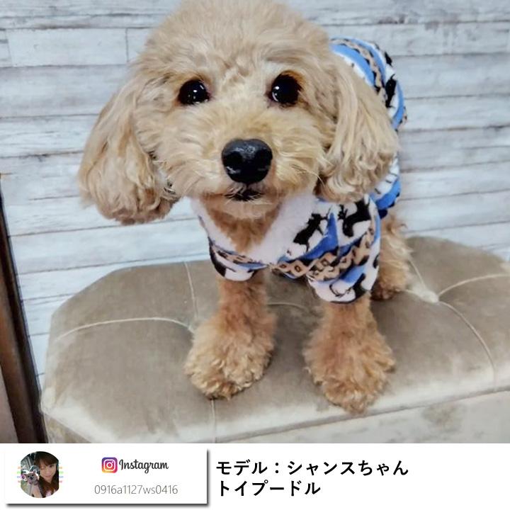 はっぴーDOG 犬服 犬 服 秋冬 秋 冬 犬の服 おしゃれ トイプードル