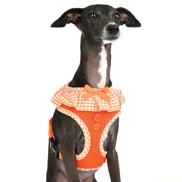 ハーネス 胴輪 イタグレ イタリアングレーハウンド 犬服 犬 服 犬の服 おしゃれトイプードル チワワ Puppia パピア 正規品 ドッグウェア 送料無料 Mdac860i はっぴーdog本店 通販 Yahoo ショッピング