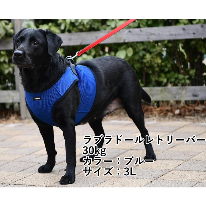 はっぴーDOG ハーネス 犬 小型犬 中型犬 首の負担が少ない PUPPIA