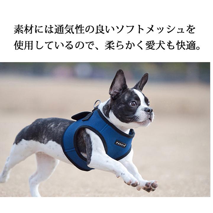 はっぴーDOG 犬 リード ハーネス セット 胴輪 小型犬 中型犬 シンプル