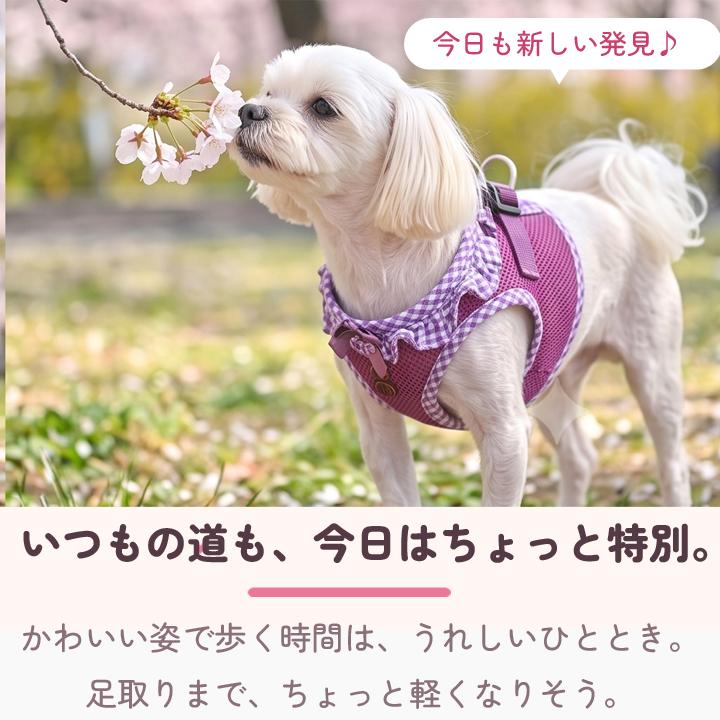 犬 服 夏 ハーネス PUPPIA パピア 正規品 ソフトベストハーネス