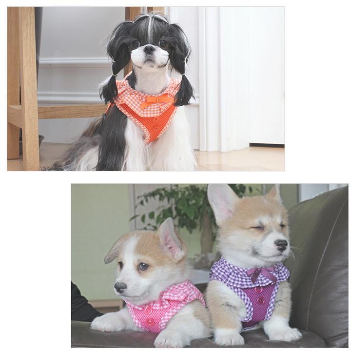はっぴーDOG 犬 リード ハーネス セット 胴輪 犬 リボン フリル ふりふ