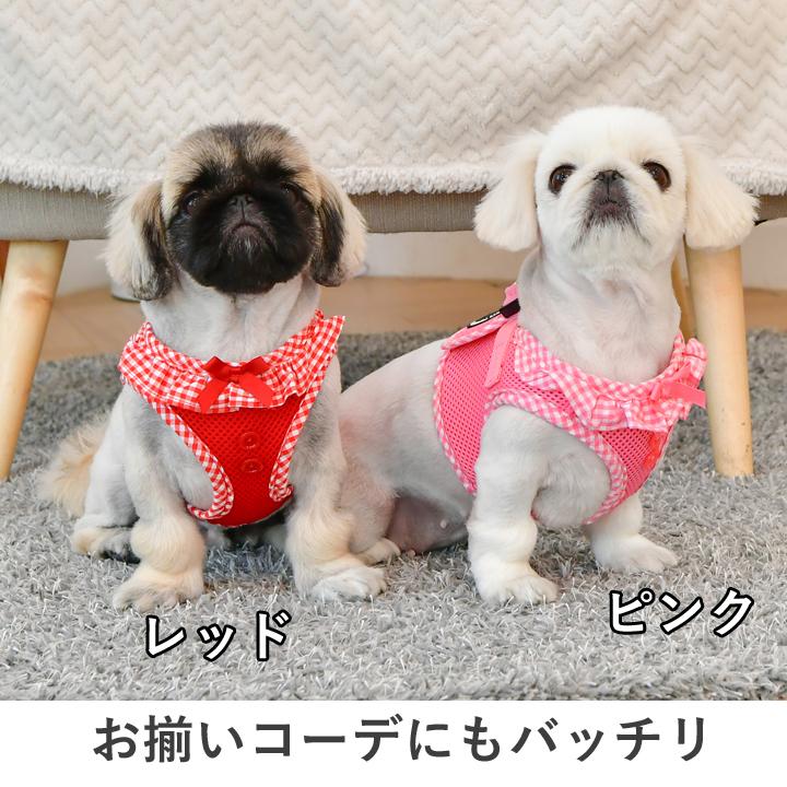 はっぴーDOG 犬 リード ハーネス セット 胴輪 犬 リボン フリル ふりふ