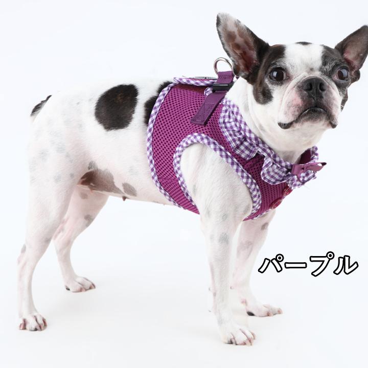 はっぴーDOG 犬 リード ハーネス セット 胴輪 犬 リボン フリル ふりふ