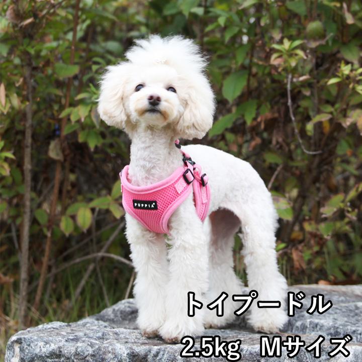 犬 服 夏 PUPPIA パピア 正規品 ソフトベストハーネス ハーネス 胴輪