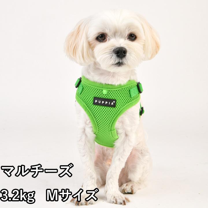 犬 服 夏 PUPPIA パピア 正規品 ソフトベストハーネス ハーネス 胴輪