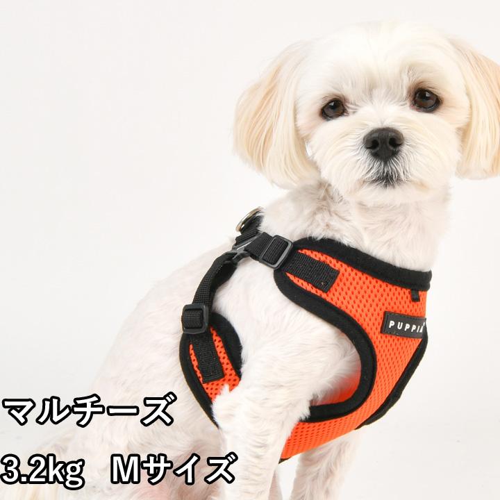 犬 服 夏 PUPPIA パピア 正規品 ソフトベストハーネス ハーネス 胴輪