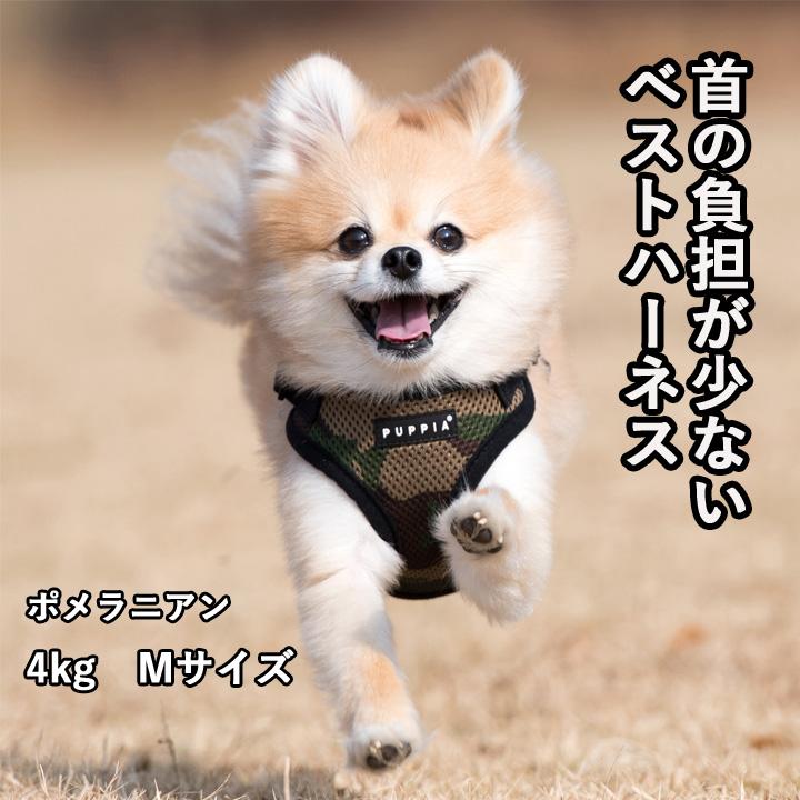 犬 服 夏 PUPPIA パピア 正規品 ソフトベストハーネス ハーネス 胴輪